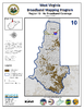 thumbnail image of broadband coverage map in region 10 of the state, no coverage