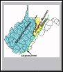 Plateau Province Map