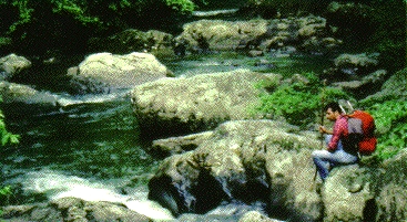 rocks and hiker