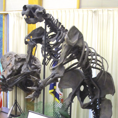 dinosaur replica images