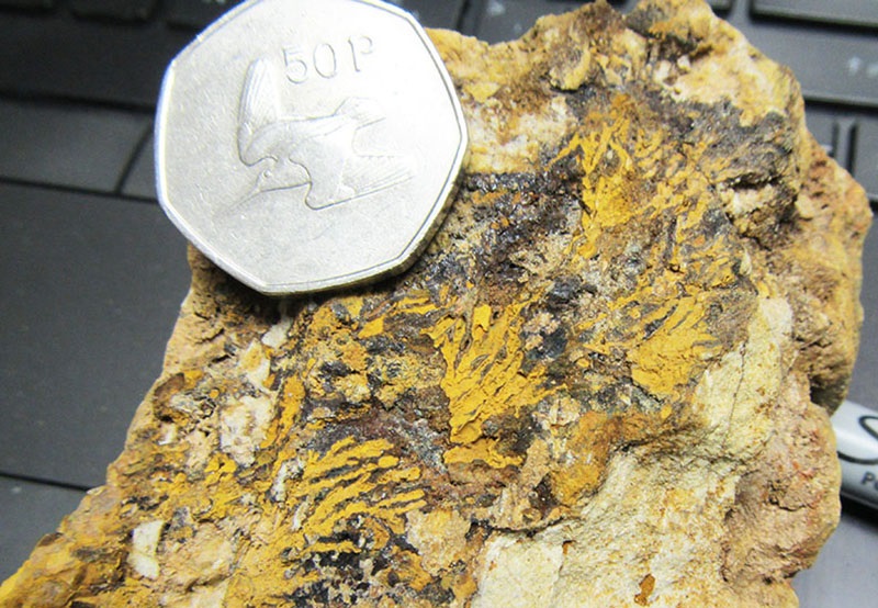 Tuscarora iron mineralization