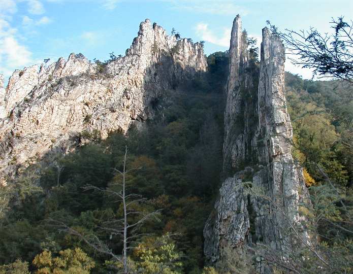 Closeup of Silurian Tuscarora Sandstone at Nelson Rocks