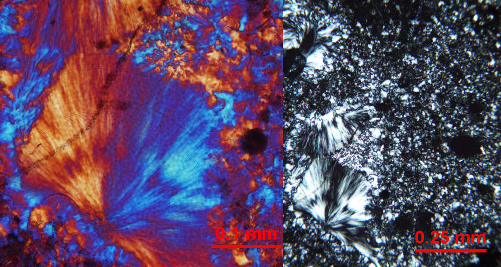 Photomicrographs of chalcedony in Huntersville Chert sample (CL-2-11) from Frost Quarry, south of Frost, WV