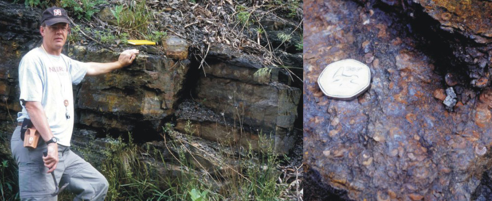 LEFT - Geologist examining typical outcrop of Silurian Keefer Formation, east of
Blue Grass, VA; RIGHT - Closeup of Silurian Keefer Formation, east of Blue Grass, VA showing iron 
mineralization and crinoid fragments