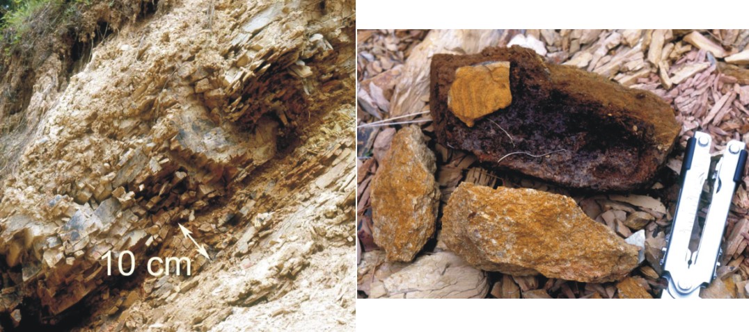 LEFT - Thin, diffuse Keefer zone south of Deer Run, WV; RIGHT - Examples 
of hand samples of Keefer from the Fort Seybert area