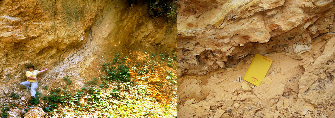 Shriver quarry showing deformation and unusual claystone layer