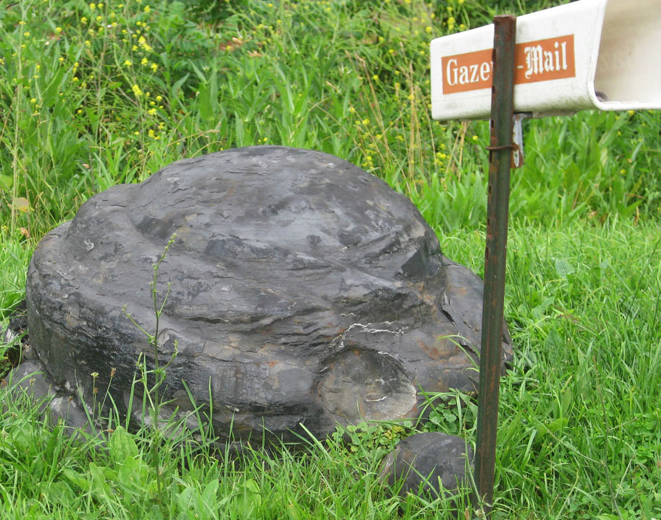 Millboro nodule in yard, north of Minnehaha springs