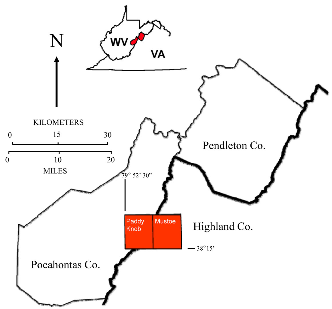 Location Map, Paddy Knob and Mustoe Quadrangles