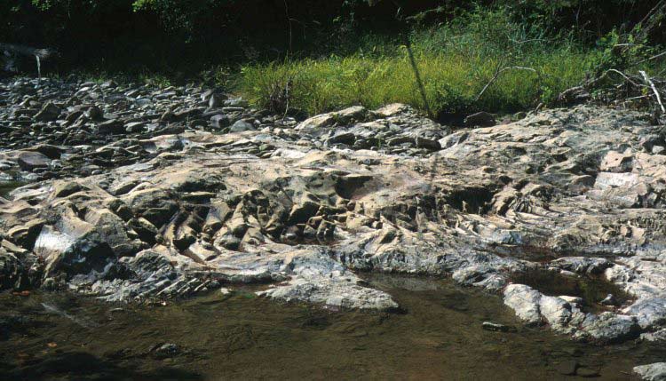 Dike Exposed In Brushy Fork Creek